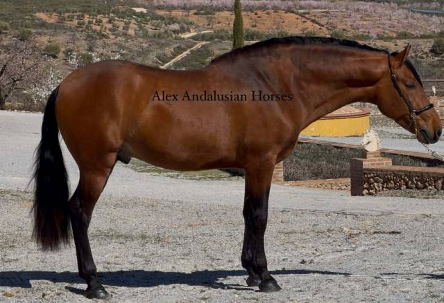 Magnifique et tres baroque pre