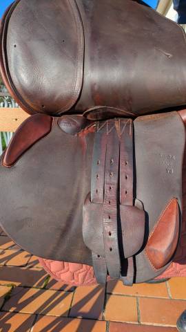 Selle antares altair+sangle bavette mouton kentucky