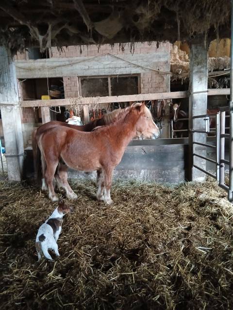 Cherche dp secteur alsace