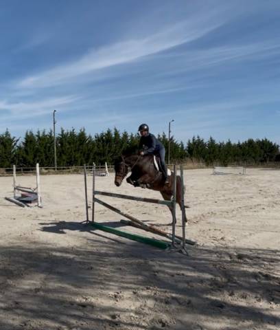 Poney d 4 ans