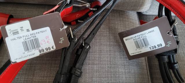 Filet + Licol rouge verni Taille Cheval