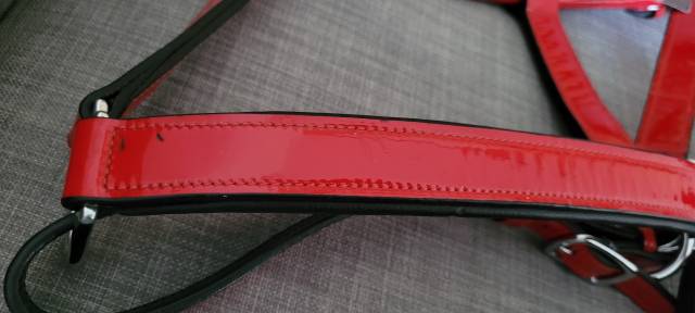 Filet + Licol rouge verni Taille Cheval