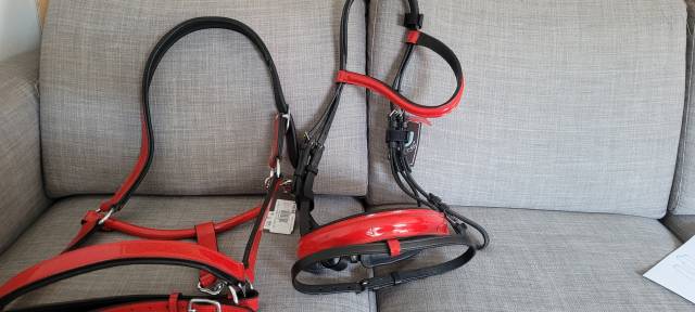 Filet + Licol rouge verni Taille Cheval