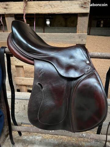 Selle mixte ANTARES 17,5 / 2A