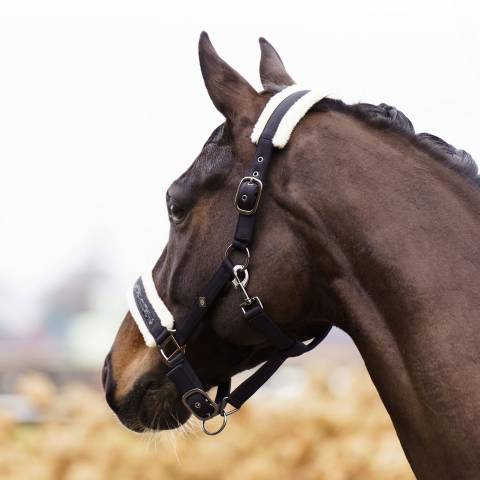 Licol Jewel - IMPERIAL RIDING - Softshell respirant