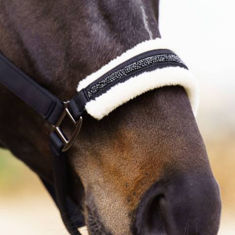 Licol Jewel - IMPERIAL RIDING - Softshell respirant