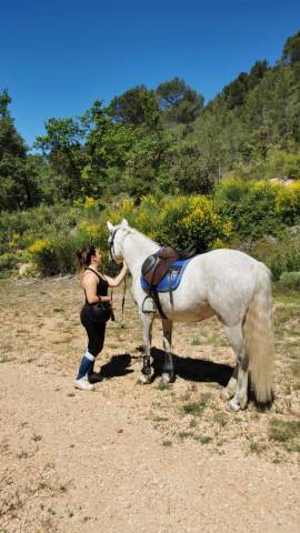 Selle Forestier  Prem&rsquo;s, si&egrave;ge 17 pouces.