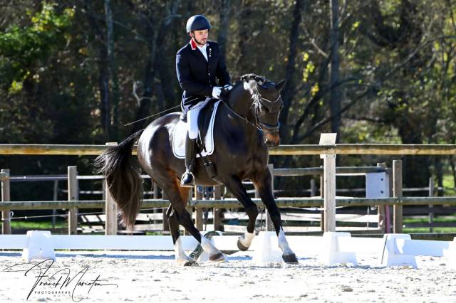 English Dressage Selle de cheval en cuir de vache avec revêtement intégral Noir 33 cm à 48,3 cm Siège 30,5 cm