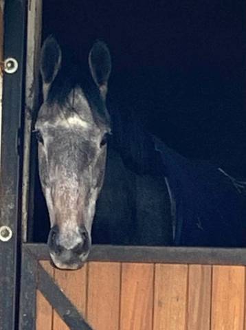 Demi-pension à maissons laffitte