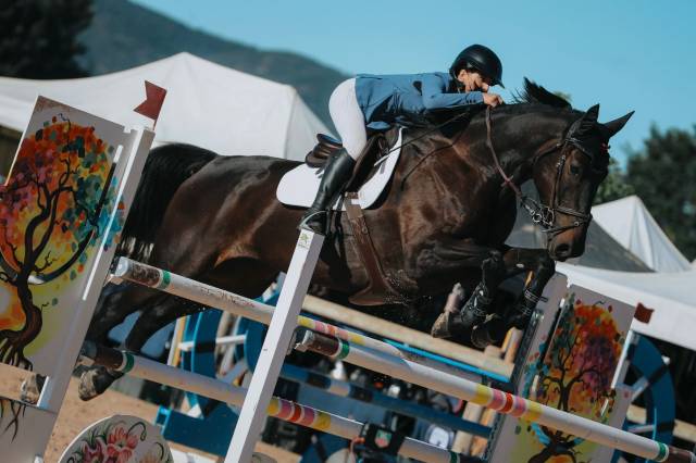 Cheval de cso expérimenté