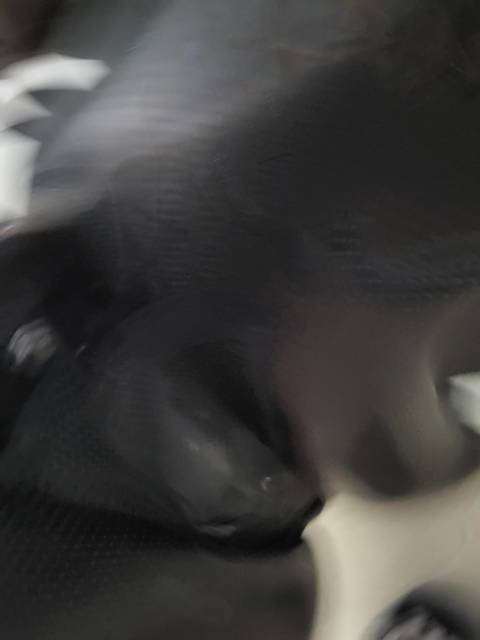 Selle wintec noir 17 ́.5 