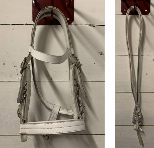 Bridon / Licol Cheval de Trait