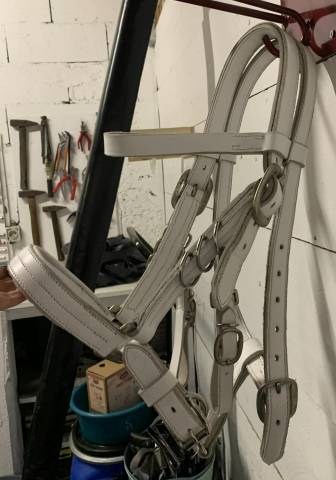 Bridon / Licol Cheval de Trait