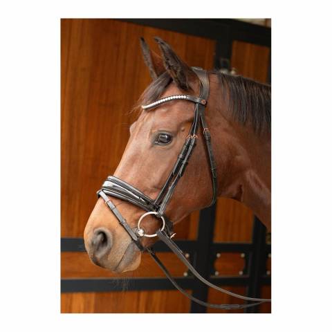 Bridon Rosegold Lacque – Harrys Horse – Anatomique luxe