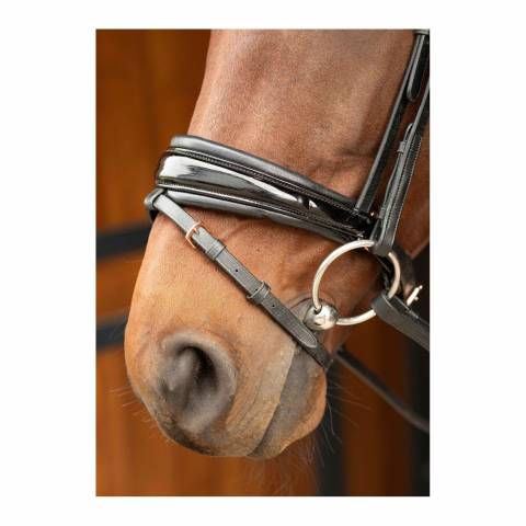 Bridon Rosegold Lacque &ndash; Harrys Horse &ndash; Anatomique luxe