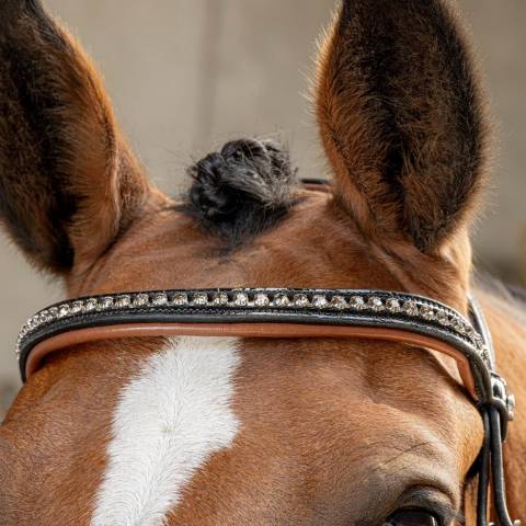 Bridon cuir anatomique Black Cognac - Harrys Horse - Finition croco