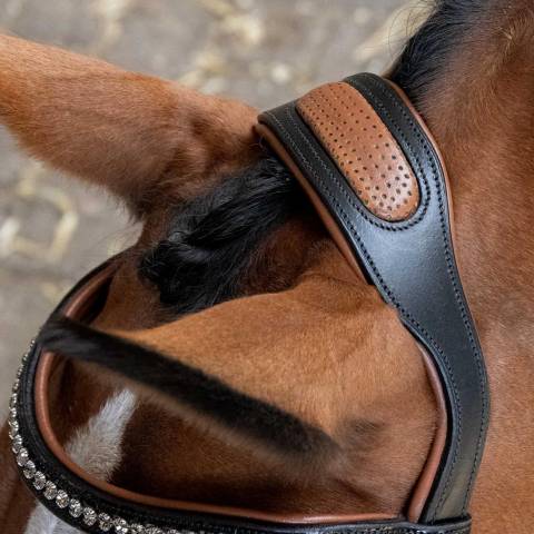 Bridon cuir anatomique Black Cognac - Harrys Horse - Finition croco