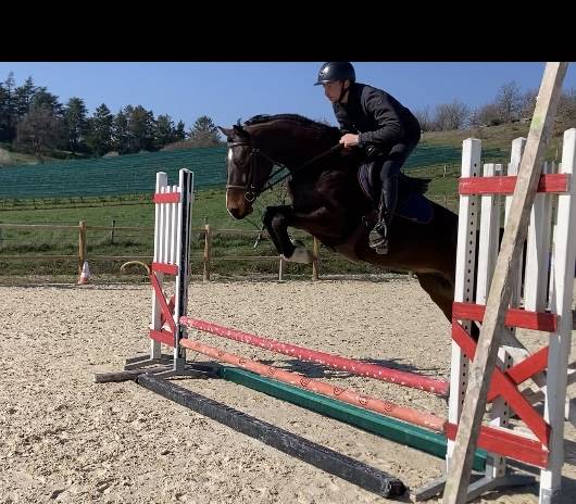 Super jument amateur 