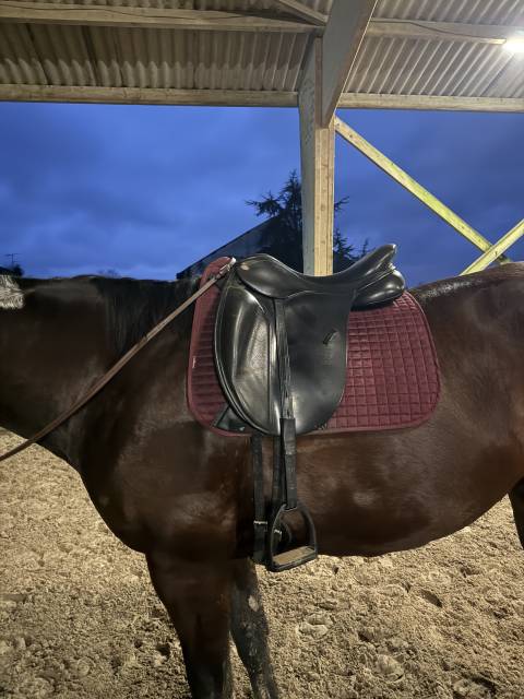 Selle dressage fairfax arcade interchangeable 17,5&rsquo;