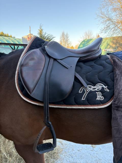 Selle Antares 17 pouces 