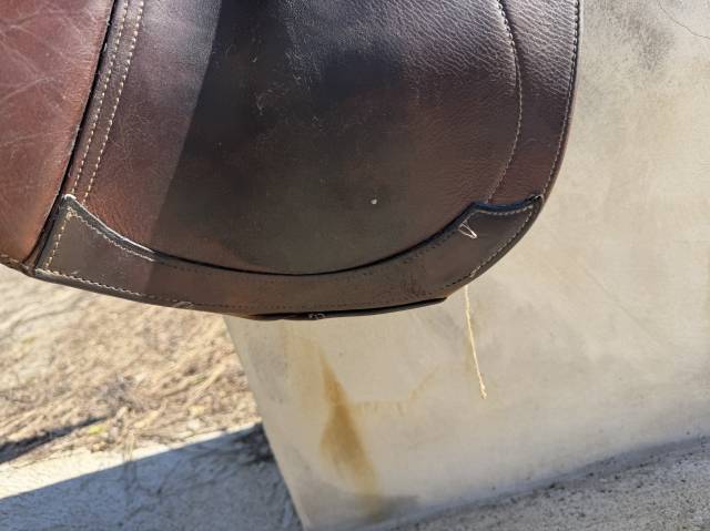 Selle Tattini  CSO 17,5 pouces