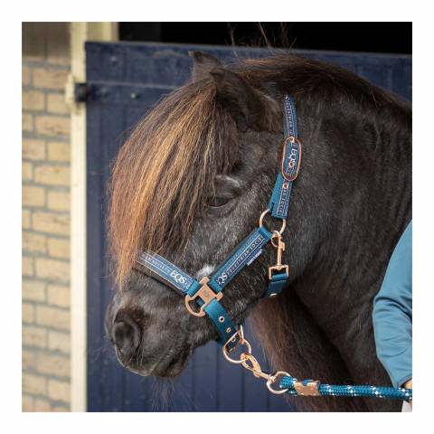 Licol et longe Equestrian Society - Harrys Horse - Imprim&eacute; int&eacute;gral