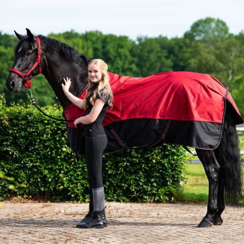 Pantalon Oakleigh Leg Grip - QHP - Chic et confortable