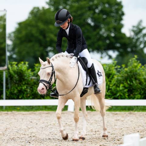 Veste de concours Jipp - QHP - Tissu stretch et respirant