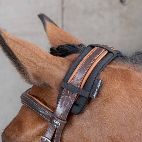 Protection de têtière cheval en néoprène - Harrys Horse