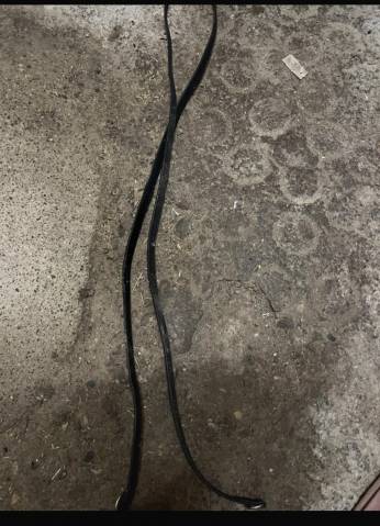 Gogue command&eacute; avec r&ecirc;nes 