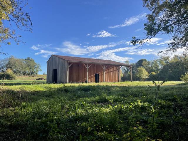 Belle propriété agricole à montagne (saint-emilion)
