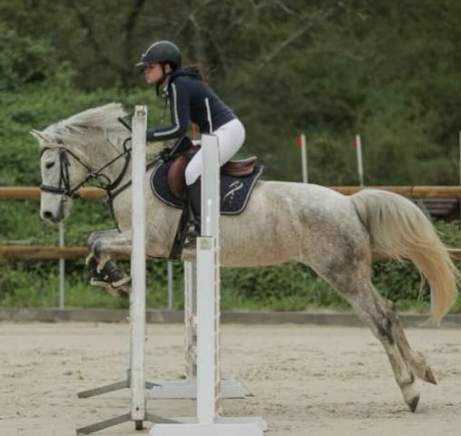 Ponette de 9 ans à vendre 