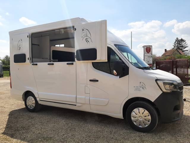 Renault master - transport chevaux 