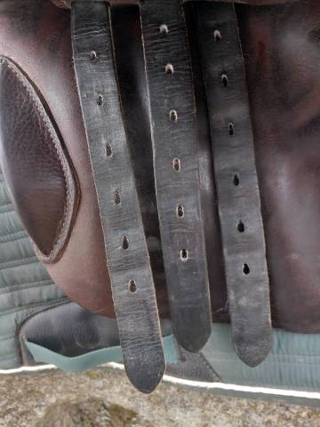 Selle obstacle Stubben Zaria 17,5"