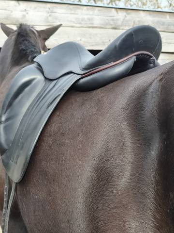 Selle dressage Butet Saumur 17"