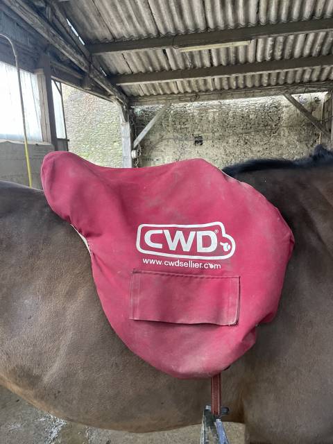 Selle CWD