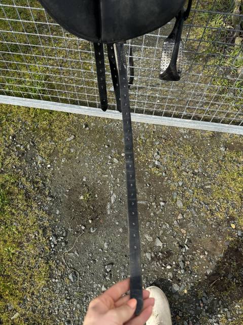 Selle wintec dressage 