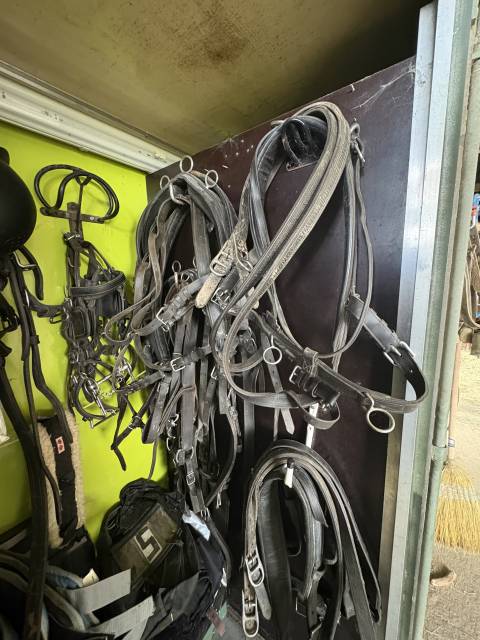 Harnais d&rsquo;attelage en paire