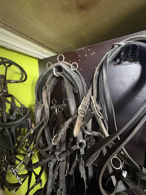 Harnais d&rsquo;attelage en paire