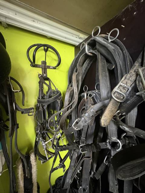 Harnais d&rsquo;attelage en paire