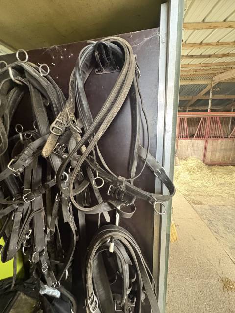 Harnais d&rsquo;attelage en paire