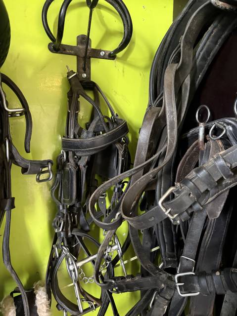 Harnais d&rsquo;attelage en paire