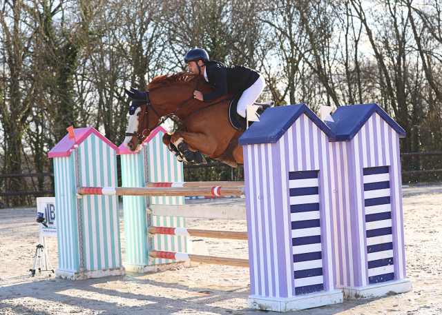 Top hongre de 9 ans pour amateur élite