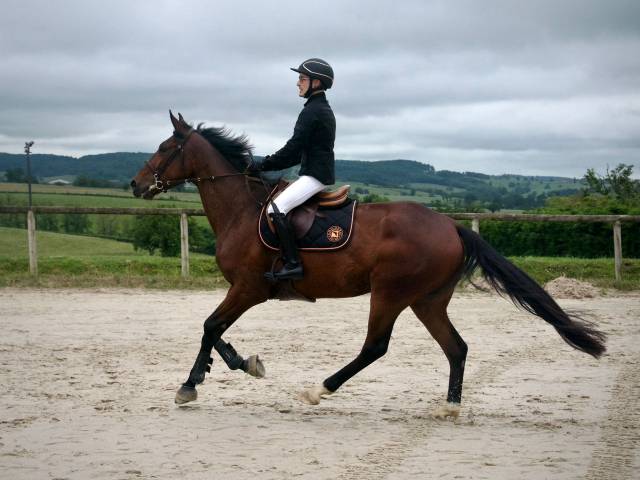 ? koctel nivernais ? 