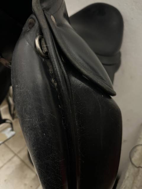 Selle dressage Childeric DGP