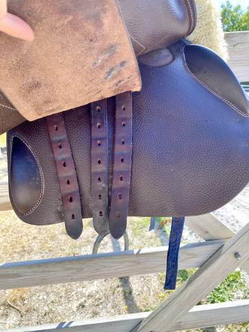 Selle Forestier S&eacute;oul 2024 