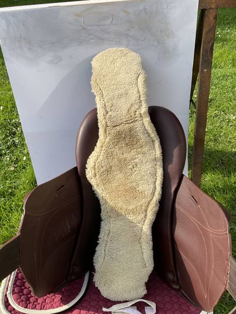 Selle Chiberta Lab 17,5 de 09/2024