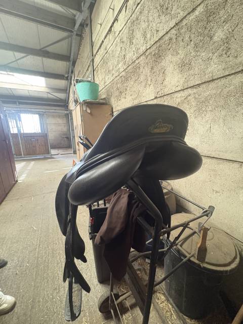 selle mixte pessoa 