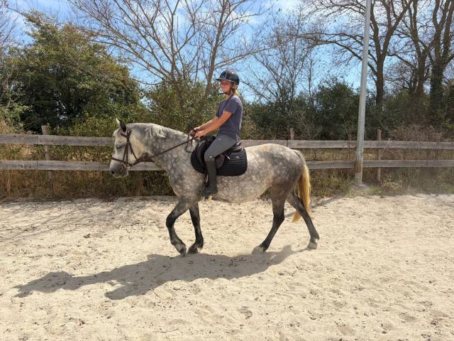 Super ponette à vendre de 6 ans sortie en cso