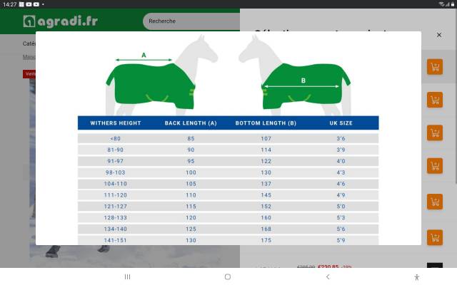 Couverture BUCAS POWER TURNOUT